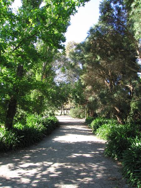 Moore Park Picture 2