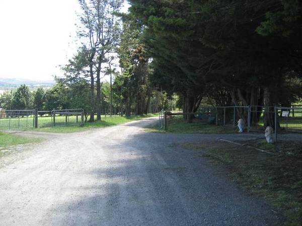 Beautiful Bunyip Picture 2