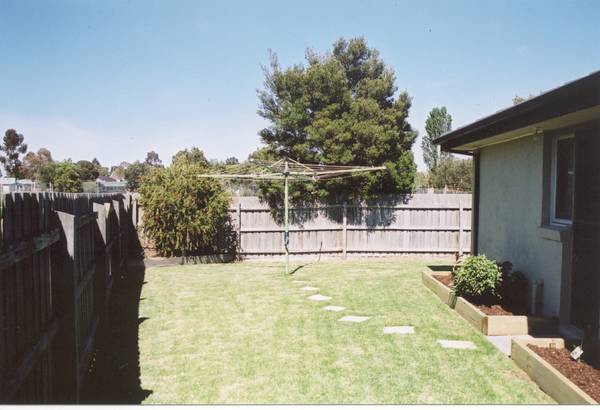 Check Me Out! Picture 2