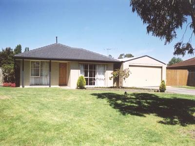 Check Me Out! Picture