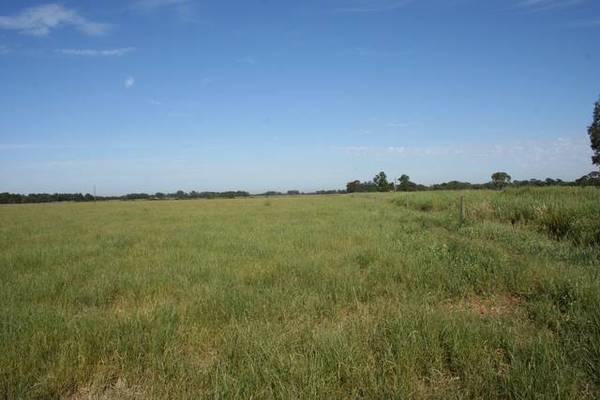 198.5 Acres Of Quality Pasture Picture 1