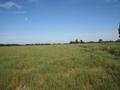 198.5 Acres Of Quality Pasture Picture