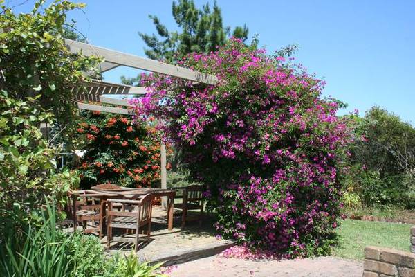 Where The Living Is Easy..... Picture 2