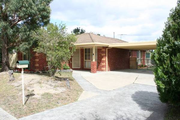 Beginners Delight! Picture 1