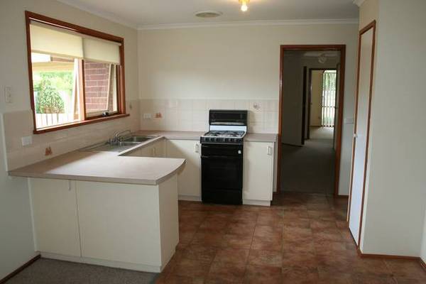 Beginners Delight! Picture 2