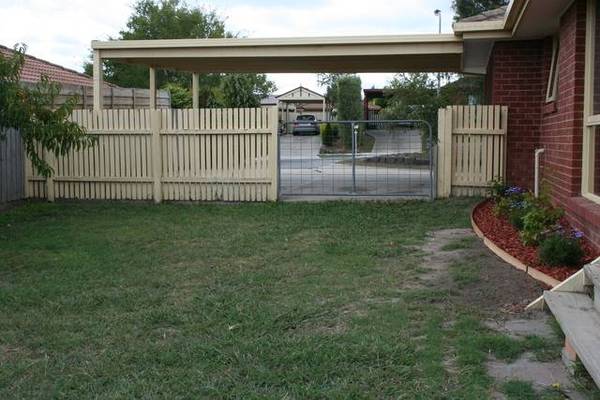 Beginners Delight! Picture 3