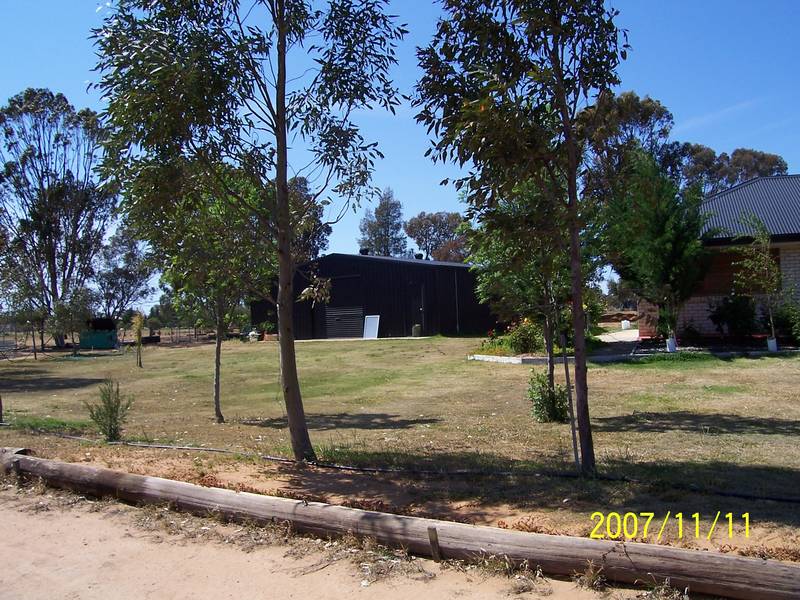 TWO FOR THE PRICE OF ONE Picture 2