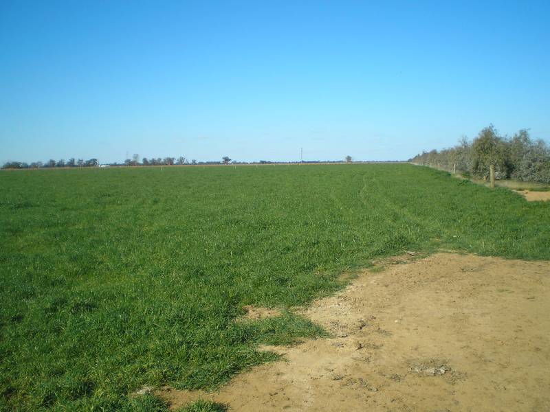 BEST DAIRY FARM - VOTED WEEKLY TIMES 2005 Picture 2