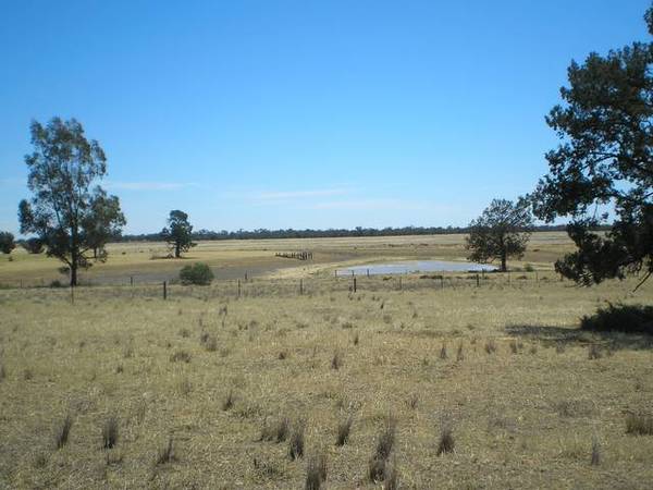 RURAL LIFESTYLE BLOCKS Picture 3