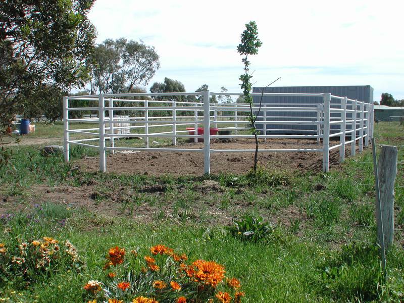 OLD STYLE, NEW HOMESTEAD Picture 2