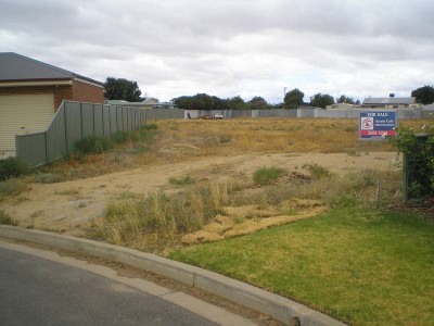 GREAT NEIGHBOURS Picture