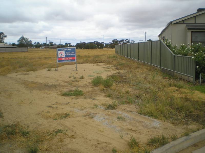 GREAT NEIGHBOURS Picture 2