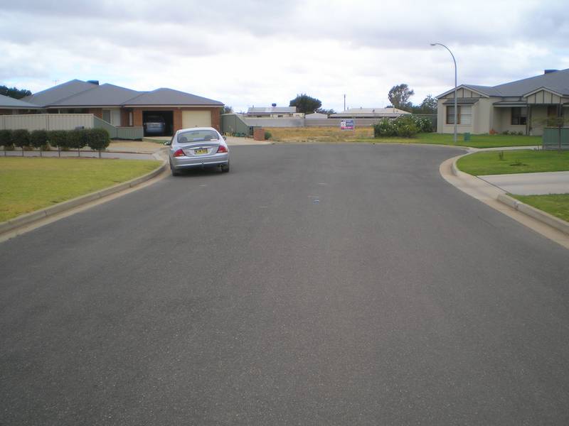 GREAT NEIGHBOURS Picture 3