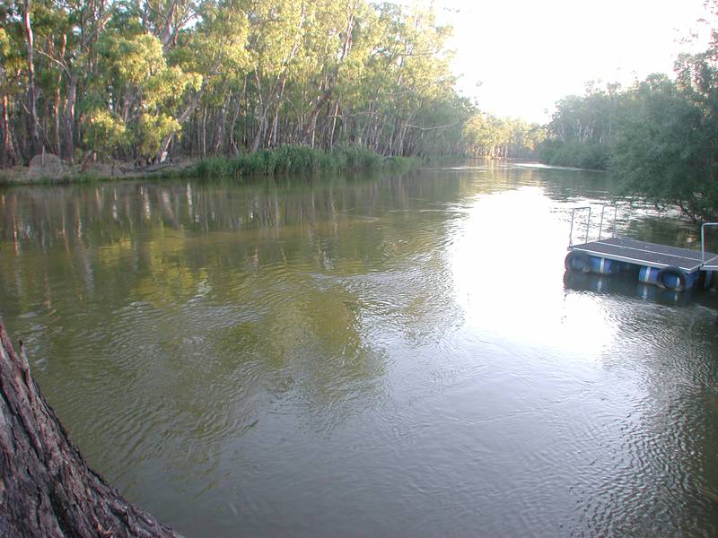 MURRAY RIVER Picture 3