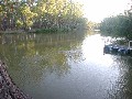 MURRAY RIVER Picture