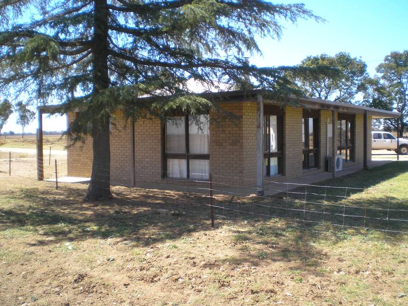 Rural Farmlet Picture 3