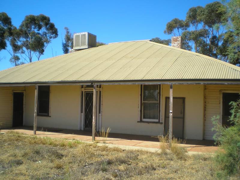 The Perfect Homestead Picture 1