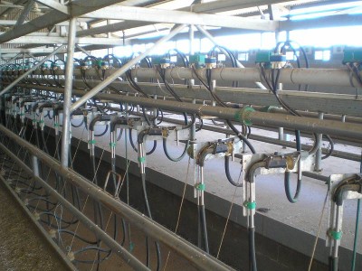 UNBELIEVABLE VALUE Picture