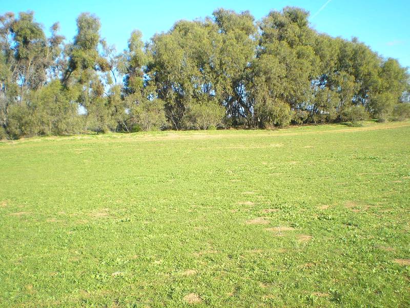 PICTURESQUE HOBBY FARM Picture 3