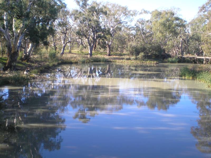 PICTURESQUE HOBBY FARM Picture 2