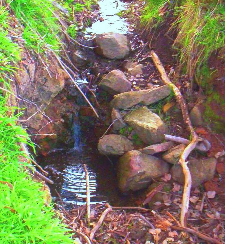 NORTH EAST VICTORIA/RURAL LIFESTYLE Picture 2