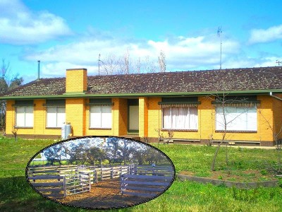 Rural Hobby Farm - 64.22Ha (approx) Picture