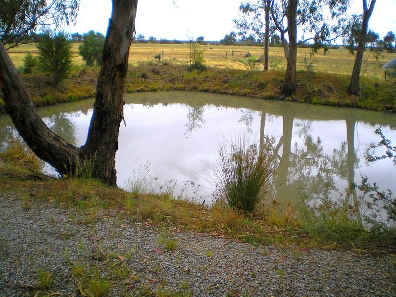 FISHING/HOLIDAY - Retreat Picture 2