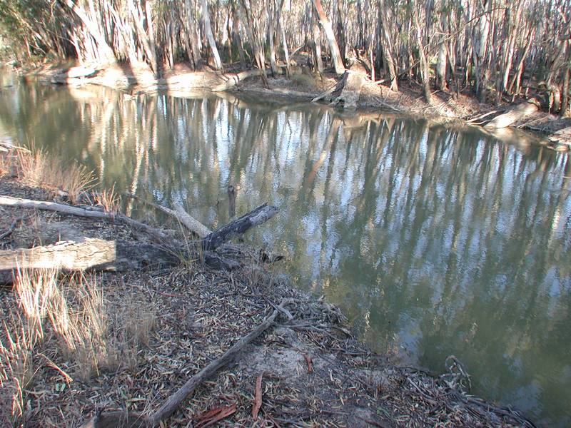 RURAL RETREAT FOR TWO FAMILIES Picture 1