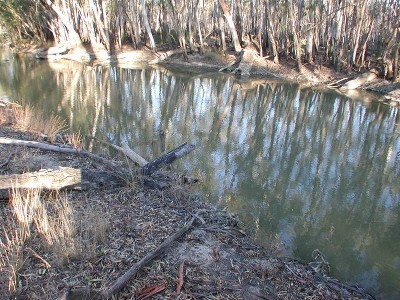 RURAL RETREAT FOR TWO FAMILIES Picture