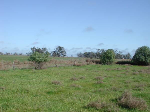 Citydweller's Retreat/Playground Picture 3