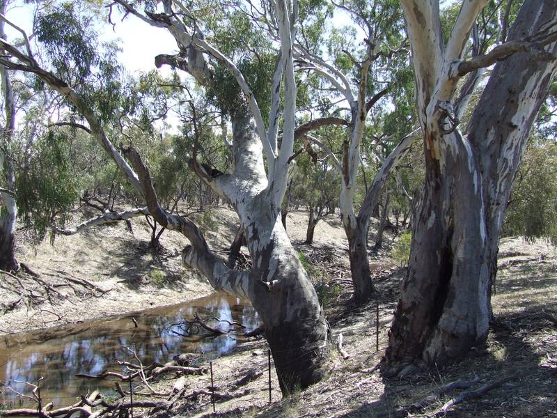 Enjoy the serenity Picture 1