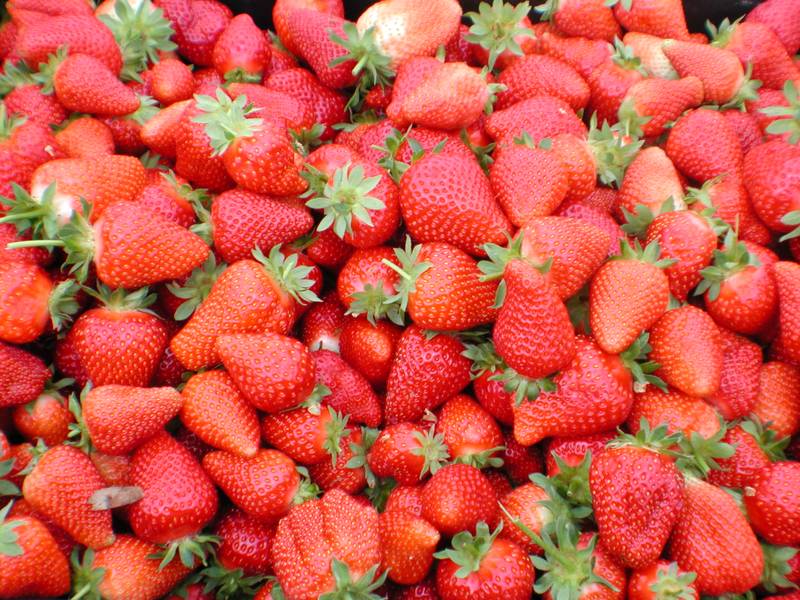 Great Opportunity Picture 3