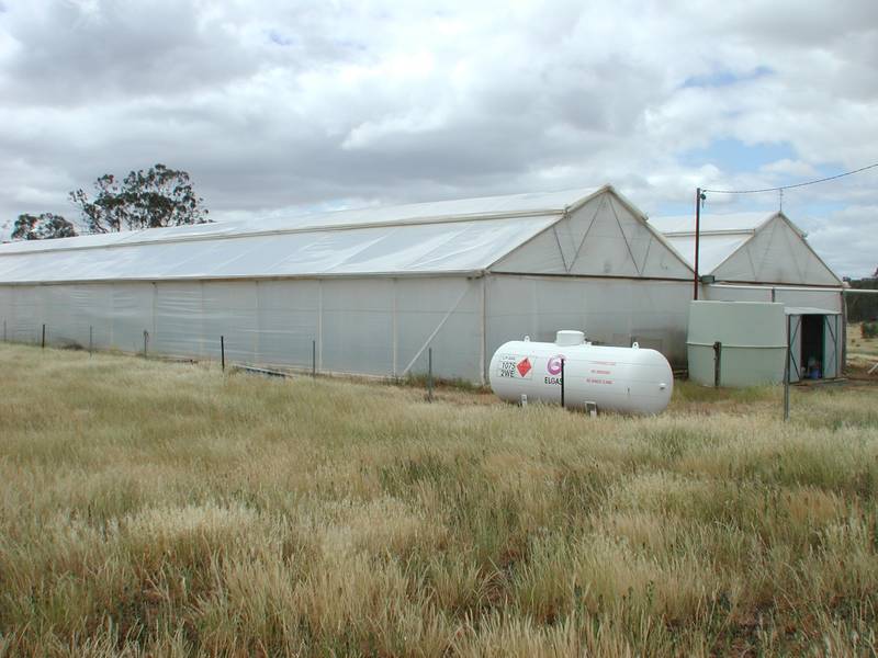 Great Opportunity Picture 1