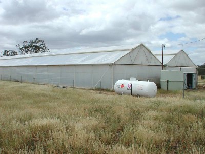 Great Opportunity Picture