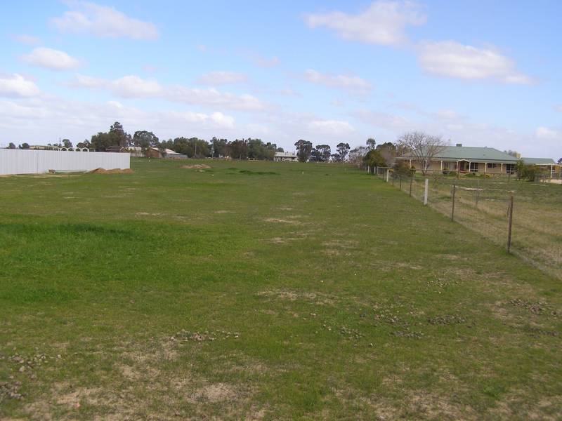 LARGE BUILDING BLOCK Picture 2