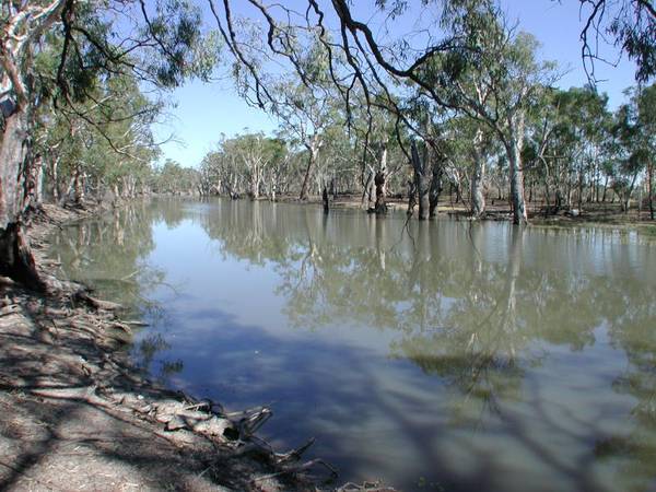 River frontage rural property Picture 2