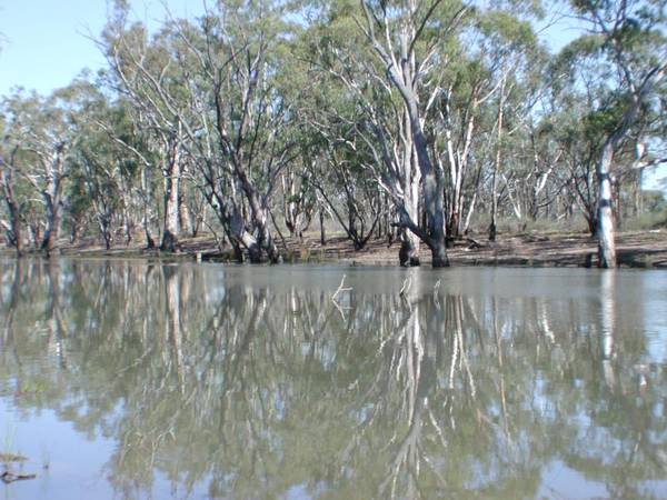 River frontage rural property Picture 1