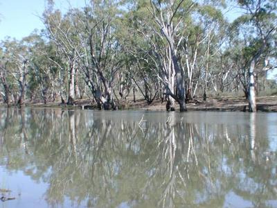 River frontage rural property Picture River frontage rural property Picture