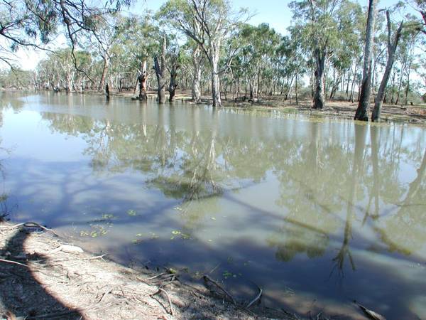 River frontage rural property Picture 3