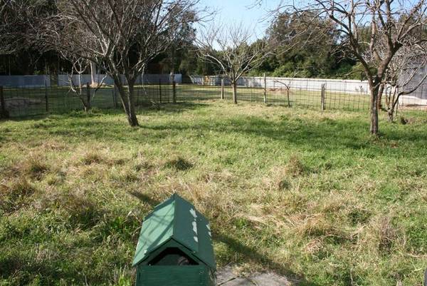 DON'T CRAMP YOUR STYLE Picture 3