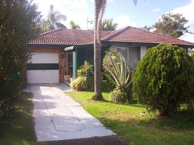 TOP LITTLE STARTER Picture