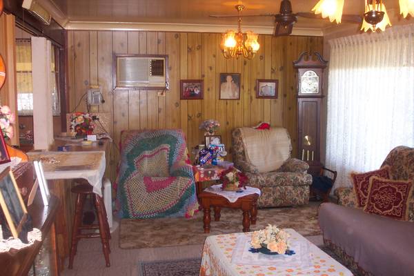 TOP LITTLE STARTER Picture 2