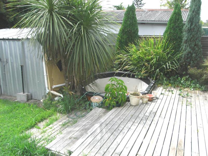 ONE FOR THE ENTERTAINER Picture 3