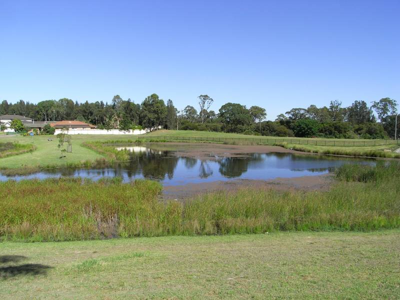 BARGAIN TORRENS DUPLEX Picture 2