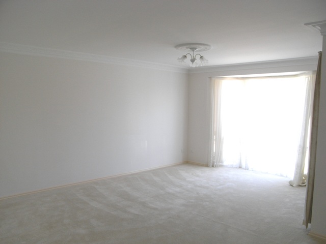 IMMACULATE TORRENS DUPLEX Picture 3