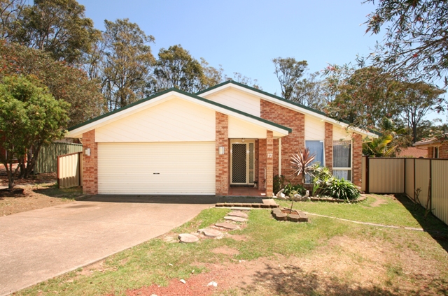 ENTERTAINER'S DREAM Picture 1