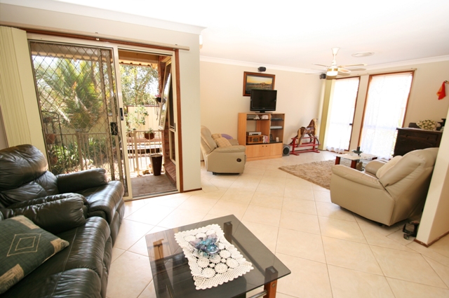 ENTERTAINER'S DREAM Picture 3