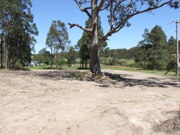 POTENTIAL SUBDIVISION Picture 1