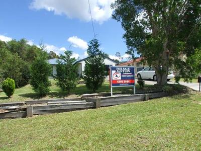 DREAMS DO COME TRUE Picture DREAMS DO COME TRUE Picture