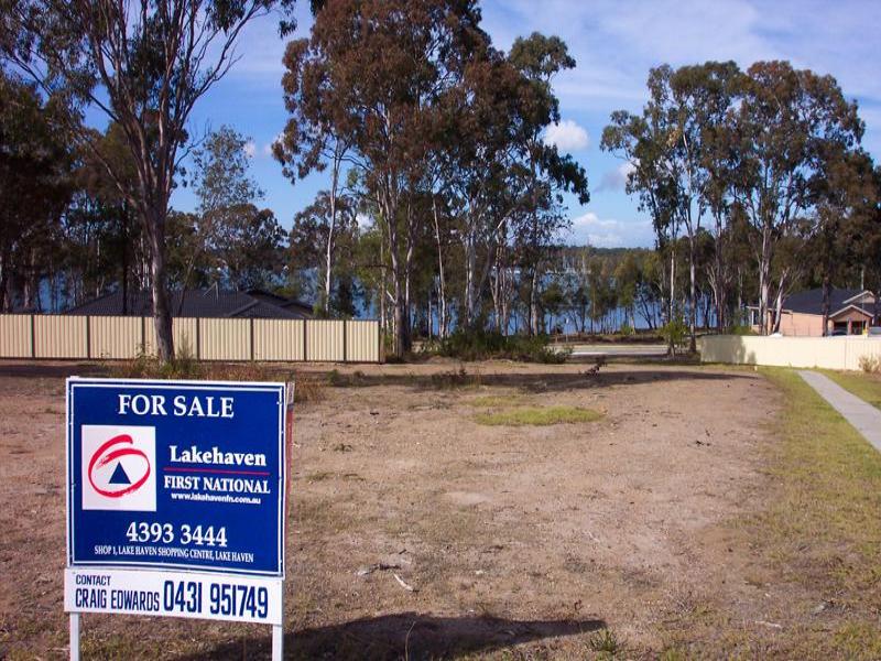 Great Opportunity Picture 3